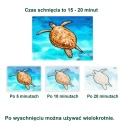 AQUAPAINT OCEAN, obrazki do malowania wodą, relish. (Active Minds)