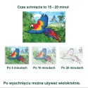 Aquapaint malowanka wodna - Piękne Ptaki