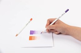 Kredki ołówkowe Darwi 12 kolorów