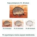 Obrazki do malowania wodą, CUDA OGRODU - AQUAPAINT
