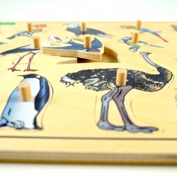 Układanka, puzzle z kołeczkami PTAKI, terapia