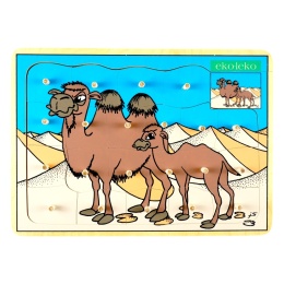 Układanka wielbłądy