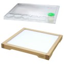 MASTERKIDZ Rama Sensoryczna - Panel LED + Przezroczysta Taca Do Malowania