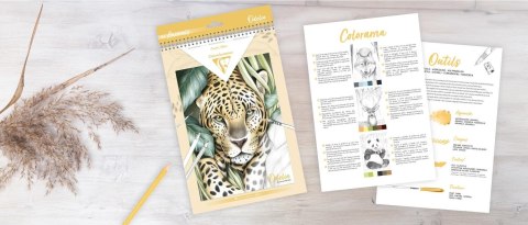 Kolorowanki Odelia Zwierzęta - E. Colin