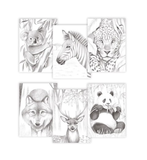 Kolorowanki Odelia Zwierzęta - E. Colin