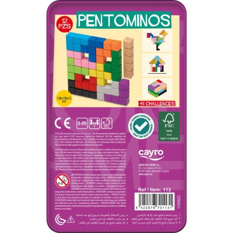 Pentomino (w metalowej puszce) (113) Cayro