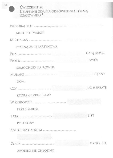 Afazja. Odbudowa komunikacji. Ćwiczenia językowe zeszyt 2