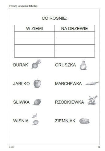 Ćwiczenia do terapii afazji cz. 2