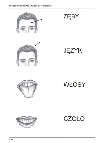 Ćwiczenia do terapii afazji cz.6