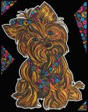 Kolorowanka, malowanka Welwetowa 47x35 Yorkshire Terrier