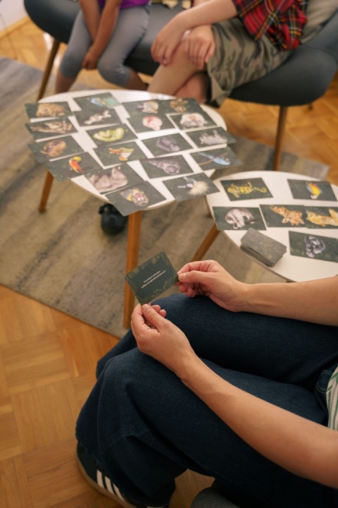 W dżungli emocji. Gra terapeutyczna pomagająca odnaleźć się w gąszczu emocji
