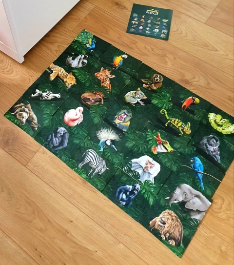 W dżungli emocji. Gra terapeutyczna pomagająca odnaleźć się w gąszczu emocji