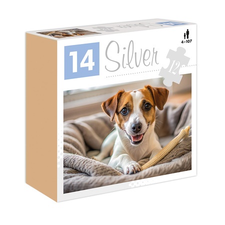 OUTLET Puzzle 12 el. Pies Silver