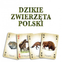 Dzikie zwierzęta Polski
