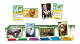 Gra quiz Zwierzęta świata,Tactic, gra dla seniora, trening pamięci
