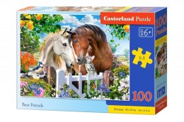 Puzzle 100 elementów Najlepszy przyjaciel konie