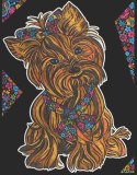 Kolorowanka Welwetowa, malowanka 29,7x21 Yorkshire Terrier