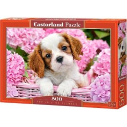 Puzzle 500 EL. Pies w różowych kwiatach