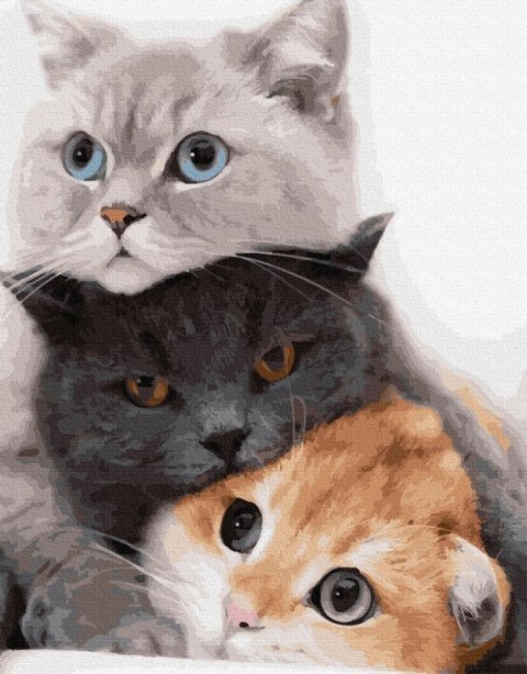 Obraz Malowanie po numerach 3 koty