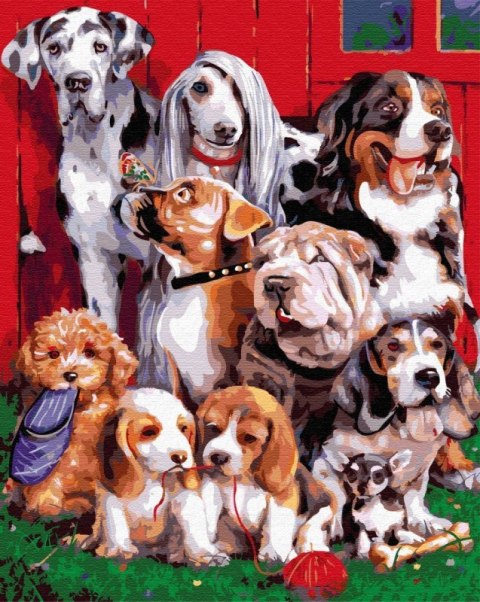 Obraz Malowanie po numerach Psy