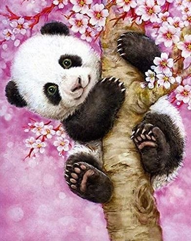 Obraz Malowanie po numerach - Panda