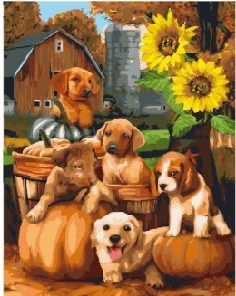 Malowanie po numerach - Psy i słoneczniki