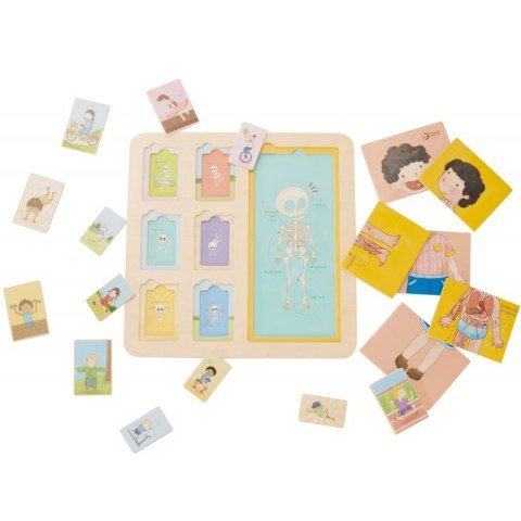 Tablica Edukacyjna Ciało Ludzkie Układanka Klocki Puzzle Dopasuj 19 el.