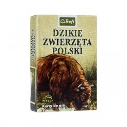 Karty Dzikie zwierzęta Polski