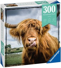 Puzle 300 elementów Moment, Szkocka krowa