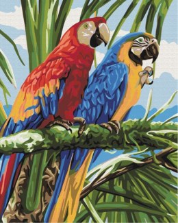 Obraz Paint it! Malowanie po numerach. Kolorowe papugi