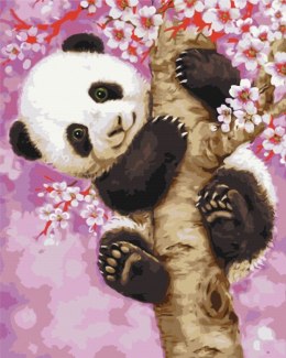 Obraz Paint it! Malowanie po numerach. Panda na drzewie wiśni