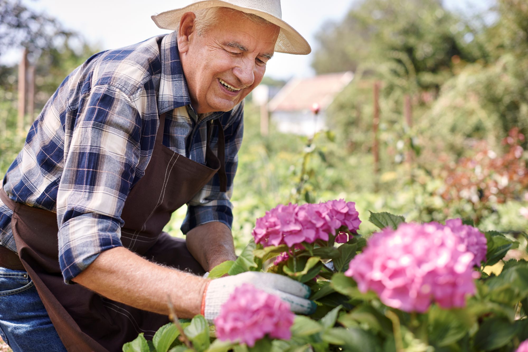 Ogrodoterapia – jak kontakt z naturą wspiera zdrowie i aktywność seniorów?